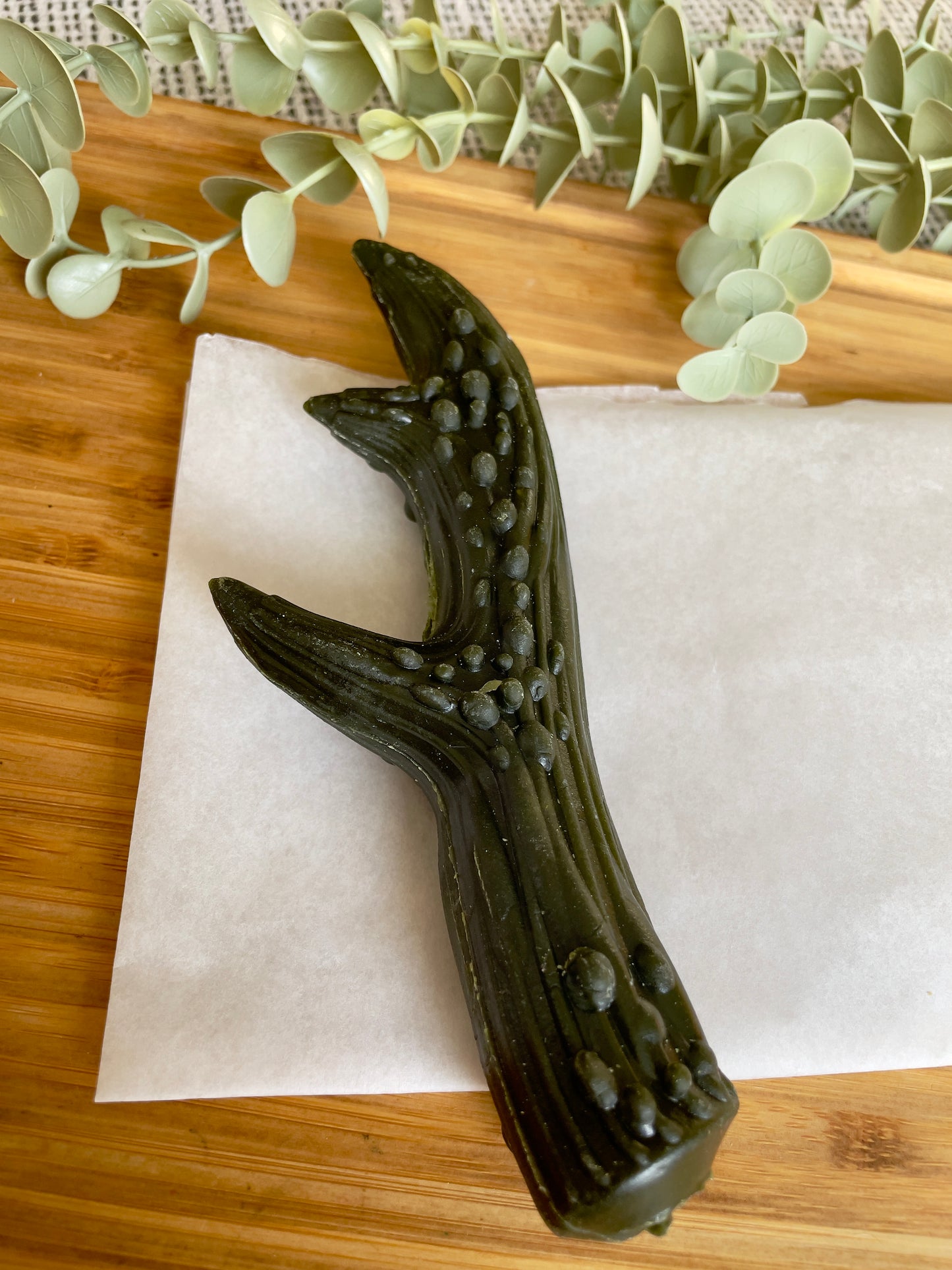 Vegetarian Antlers – Long-Lasting Vegan Chews for Large Dogs