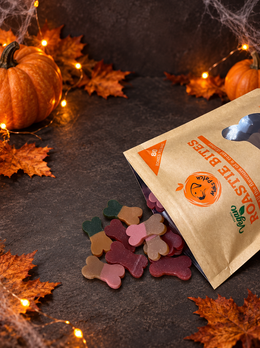 Pumpkin Roastie Bites Training treats