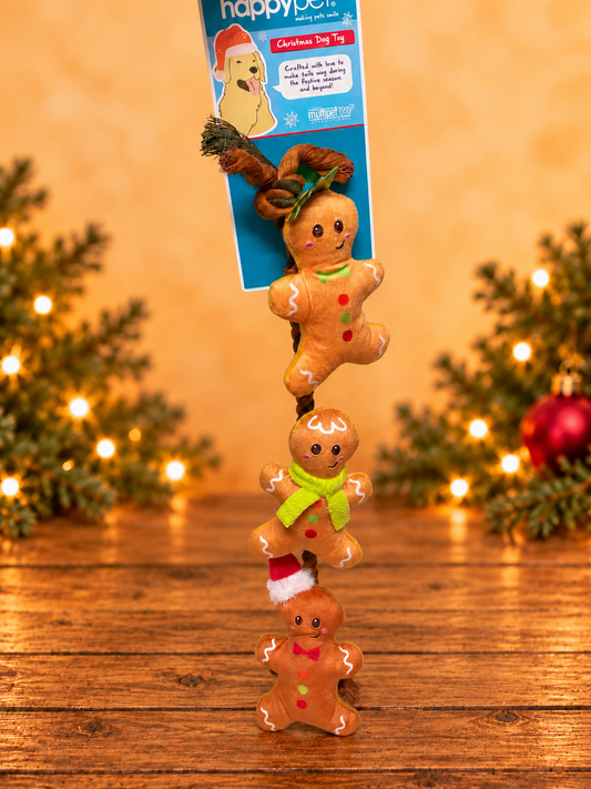 String of Gingerbread Christmas Rope Dog Toy with Squeakers