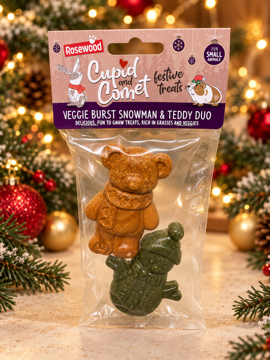Cupid & Comet Veggie Burst Snowman & Teddy Duo Christmas Small Animal Treats