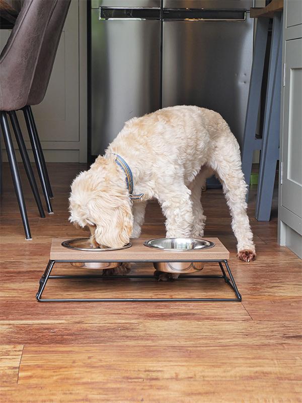 🐶 Wooden Raised Double Dog Bowl Slow Feeder – Stainless Steel Diner (46cm)