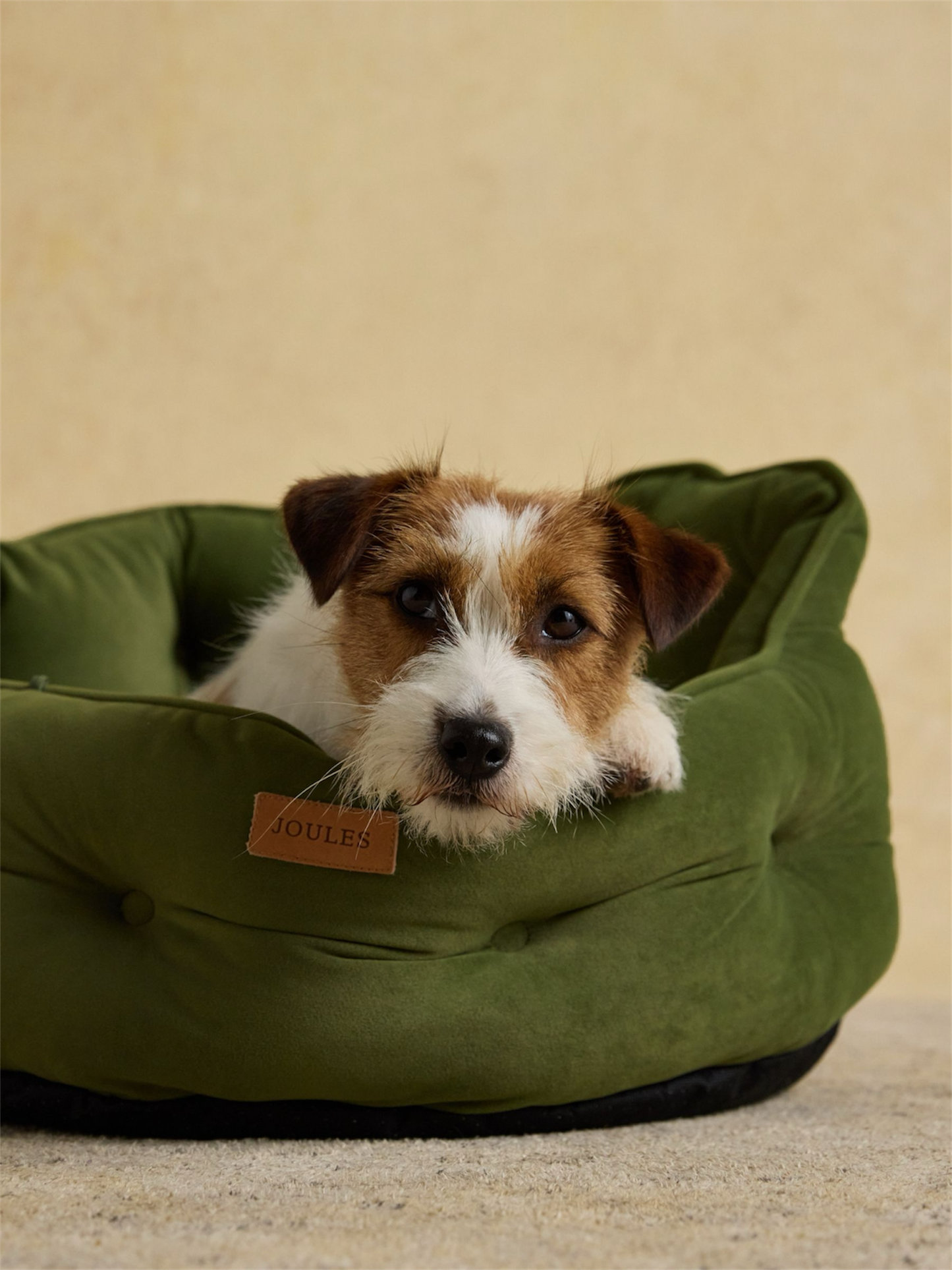 Joules Heritage Chesterfield Pet Bed – Khaki