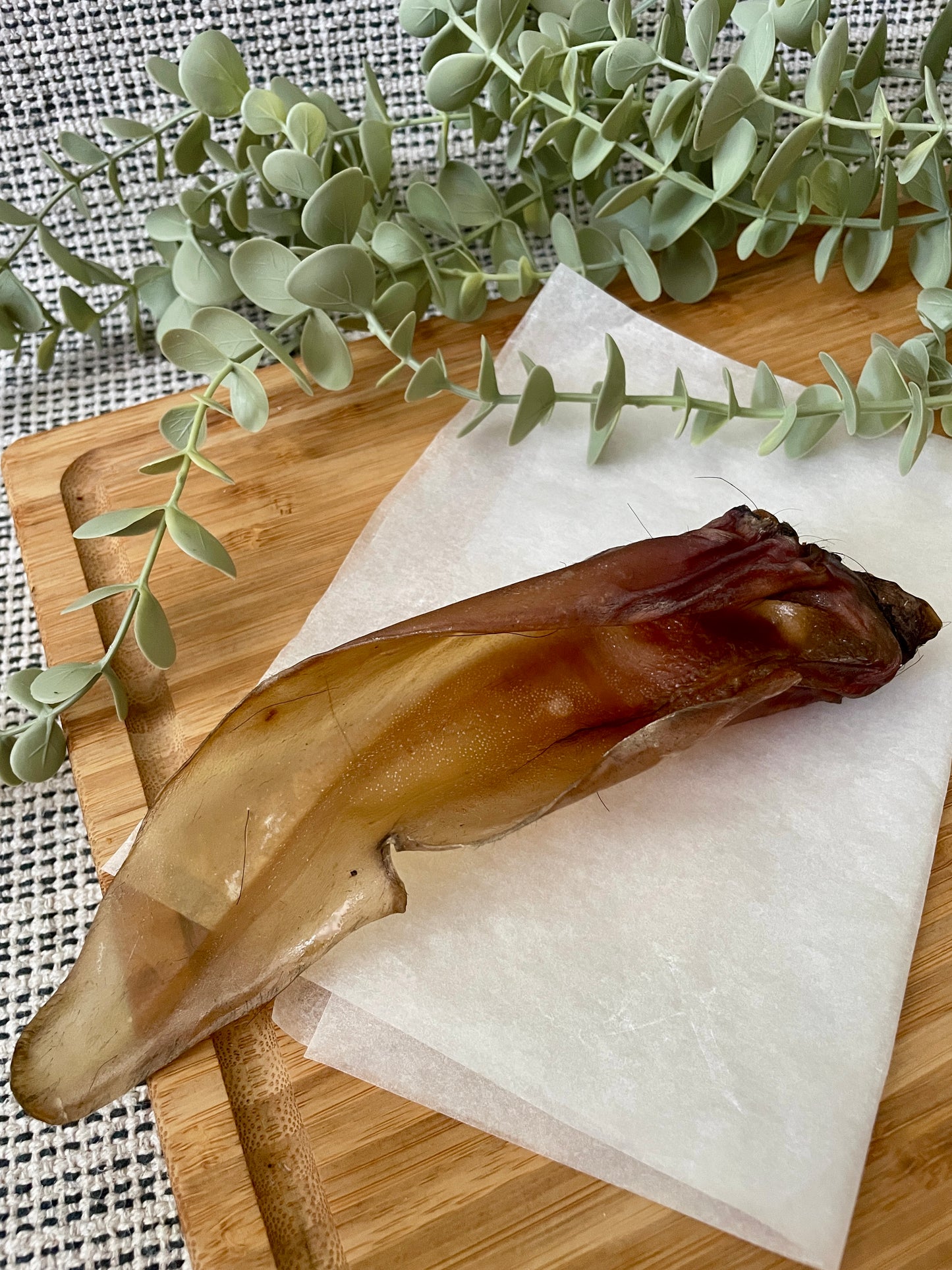 Buffalo Ears with Meaty End