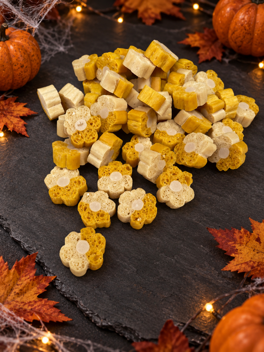 Pumpkin Dental & Digestive Bites