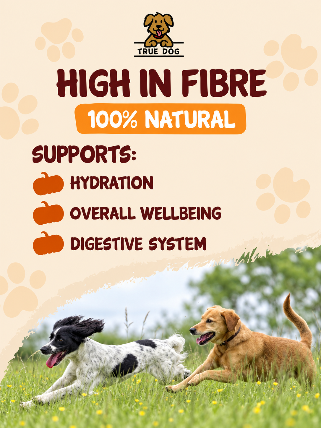 True Dog Pumpkin Powder – Digestive Support Food Topper for Dogs & Cats