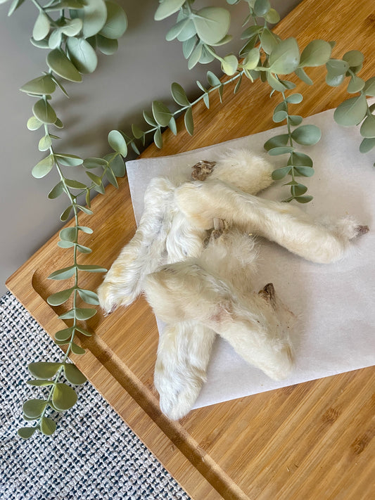 Rabbit Feet With Fur Natural Dog Treats