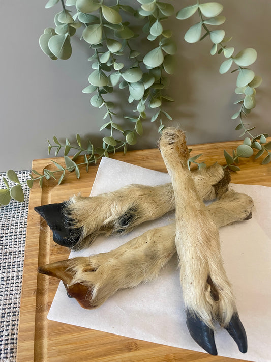 Lambs Leg With Fur Natural Dog Treat