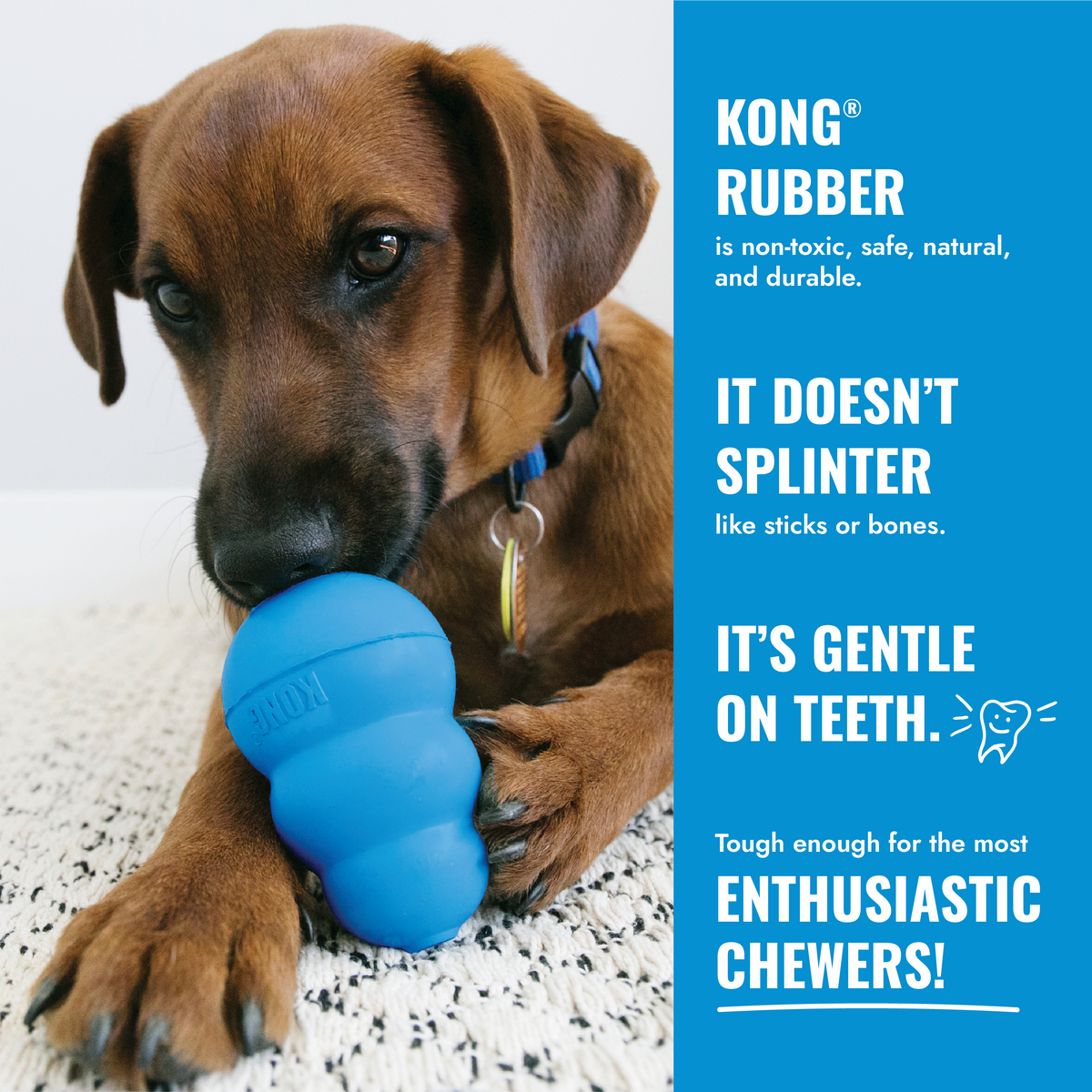 KONG Puppy Binkie Small