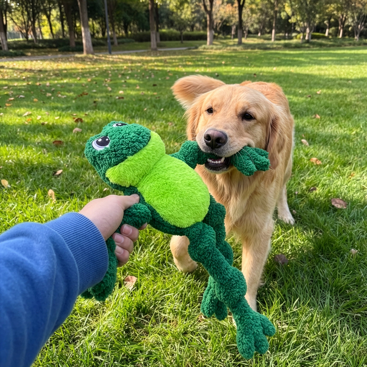 KONG Knots Frog Lg/XL