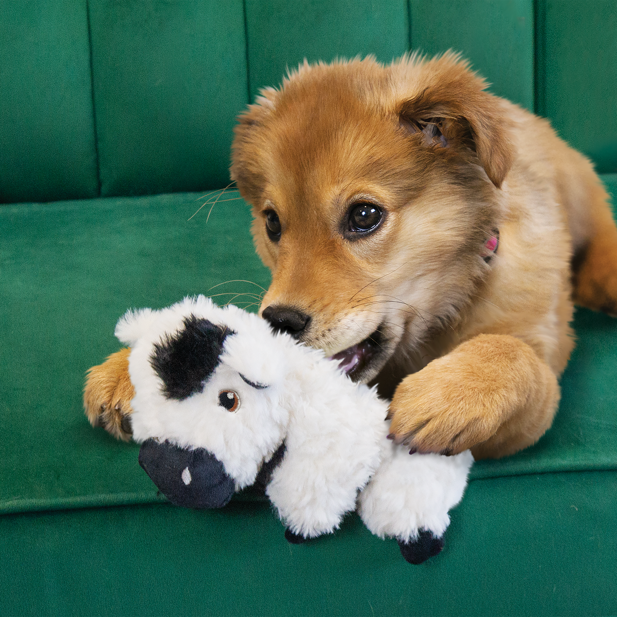KONG Comfort Tykes Cow Small