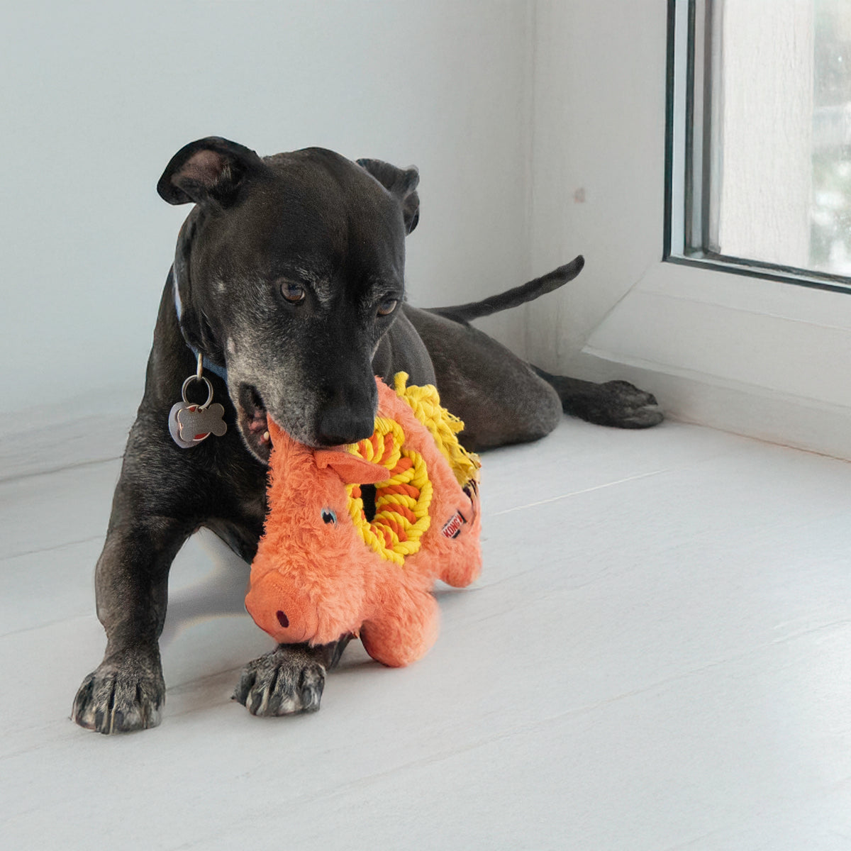 KONG Ringaroos Pig Medium