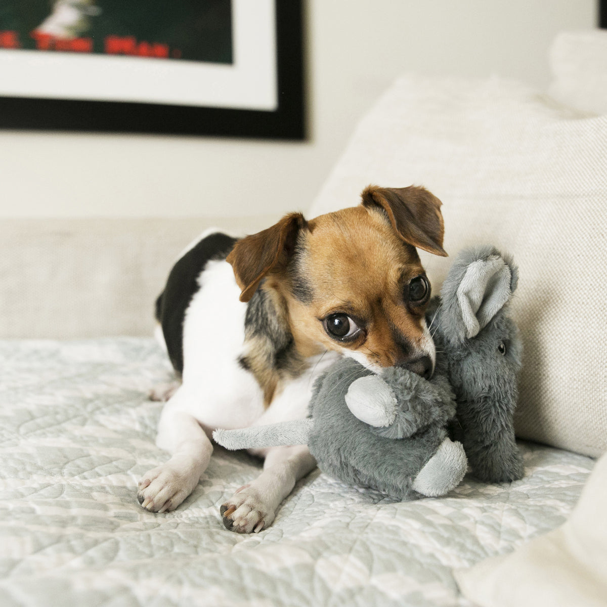 KONG Comfort Kiddos Elephant Small