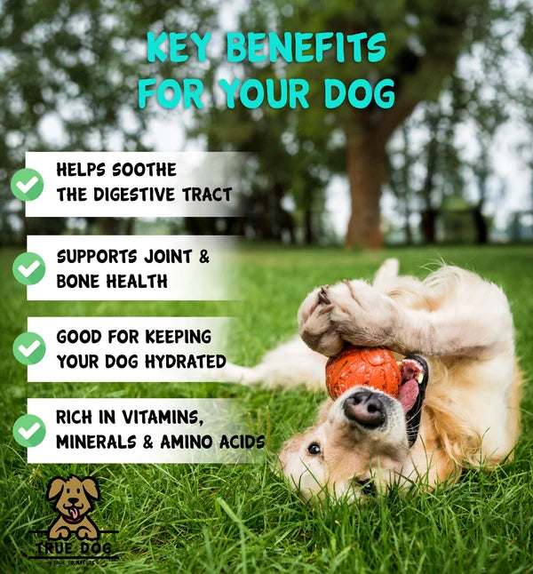 True Dog 100% Bone Broth for Dogs & Cats 4 Flavours
