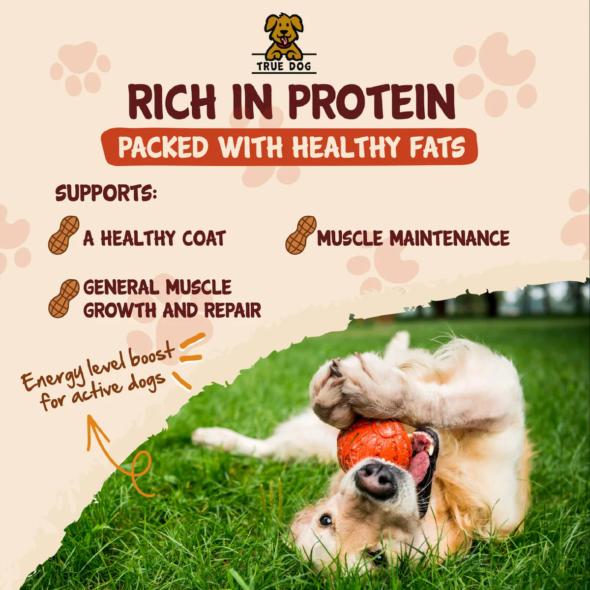 True Dog Peanut Butter 350g - 100% Pure