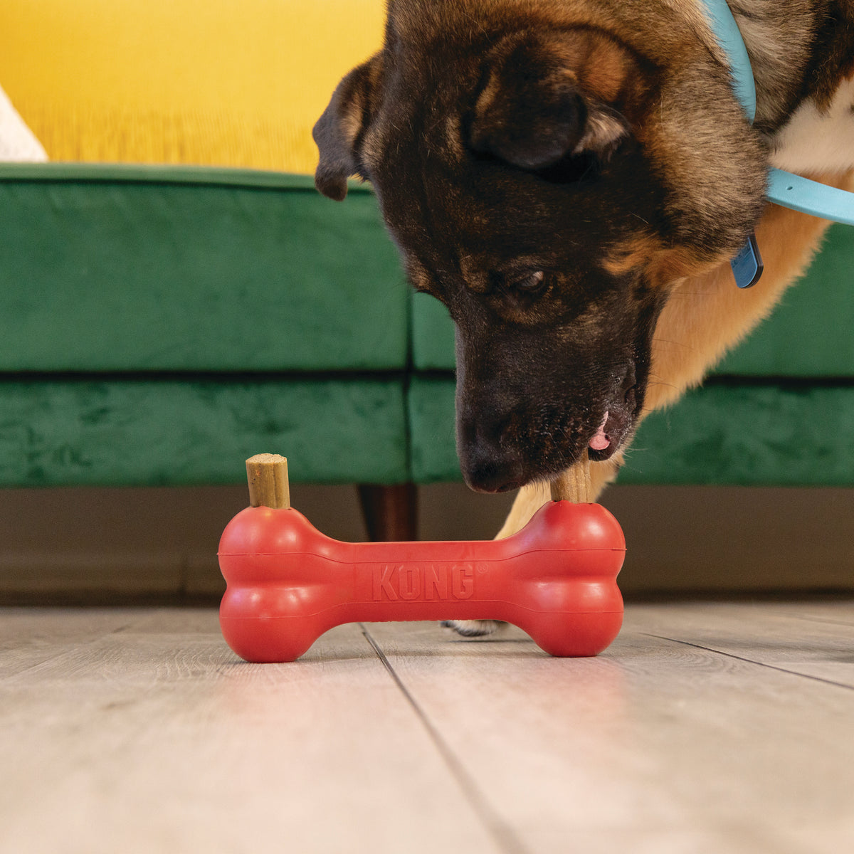 KONG Ziggies Enhanced Medium/Large – Dental Chews for KONG Classic Toys